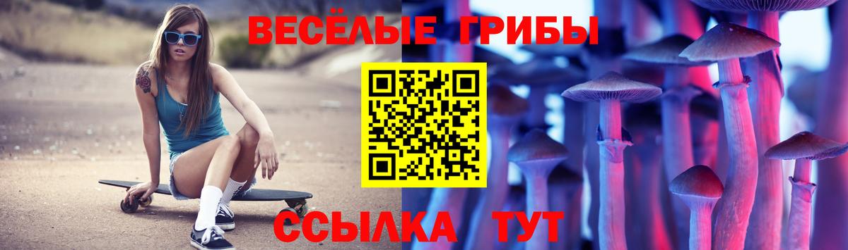 Галлюциногенные грибы Cubensis  Вход с VPN  Жигулёвск 